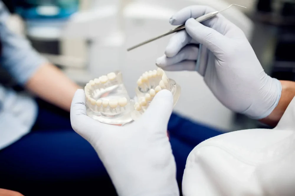 Dentista con protesi dentale simulata