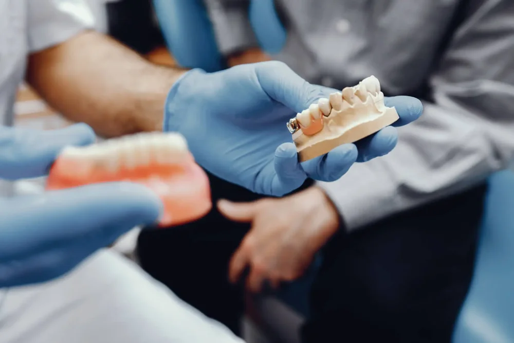 Modelli dentali mostrati da dentista.